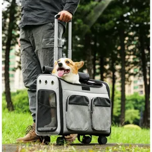 Sac à dos pour animaux grande capacité – confortable, transportable, adapté au voyage, caisse pour chien multifonctionnelle, poussette, panier renforcé